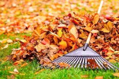 fall-yard-cleanup-important-for-lawn-garden-getty-0923-a52f9e8c61134458b40f5ffef72d3e2b