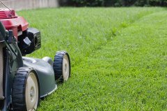 start-lawn-care-business